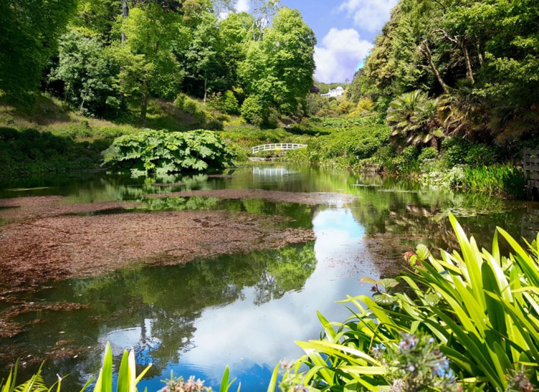 Lake in an English garden in Cornwall, near Falmouth